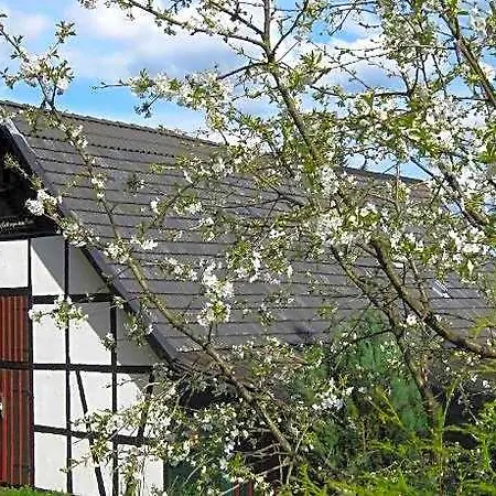 Gemutliche In Der Nahe Des Skigebiets ホテル