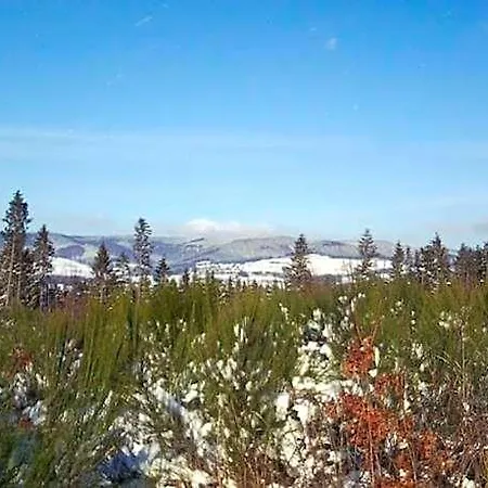 Gemutliche In Der Nahe Des Skigebiets ホテル シュマレンベルク